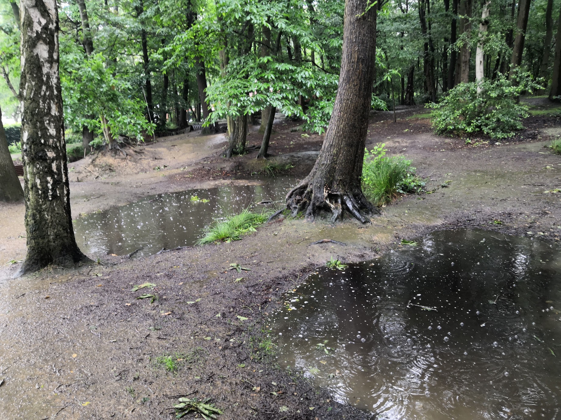 Shell craters, Sanctuary Wood
